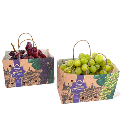 UPACK Fruit Vegetable Paper Bag With Holes 8 Color Flexo Printing