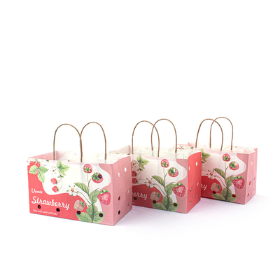 Waterproof Ripen Fruit Brown Paper Bag For Grocery Refrigeration