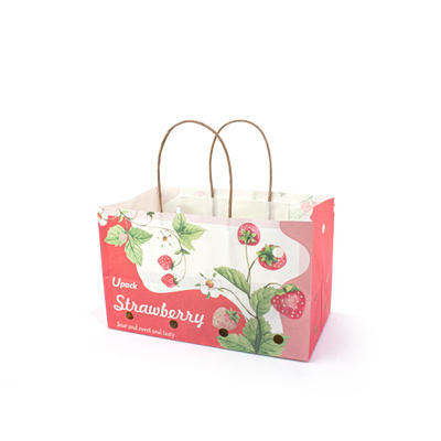 Handle Kraft Fruit Paper Bags Compostable For Fruit Packaging Takeaway
