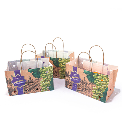 Square Fruit Paper Bags 100gsm Thickness Compostable With Handle