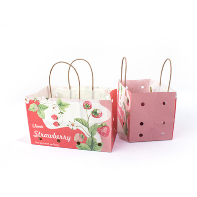 Compostable Craft Fruit Paper Bags 60gsm Thickness With Ventilation